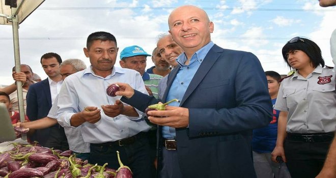 Yamula Patlıcanı Tanıtım Etkinliği Hazırlıkları Tamamlandı