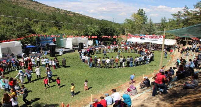 Kapaklıda Yayla Şenliği