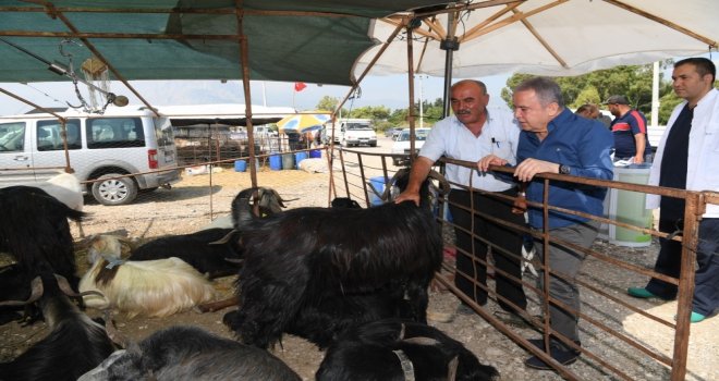 Başkan Böcek; “Kurban Bayramı Hazırlıklarımız Tamam”
