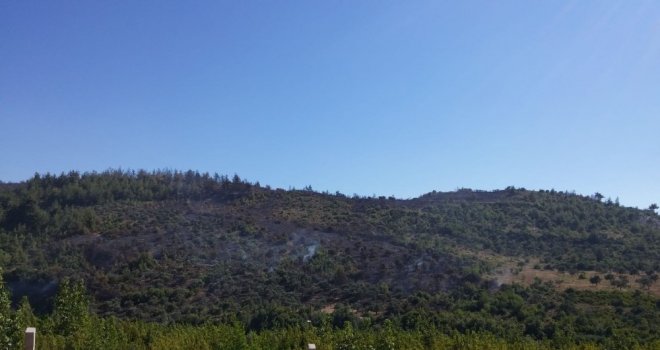 Yayladağında Çıkan Orman Yangını Söndürüldü