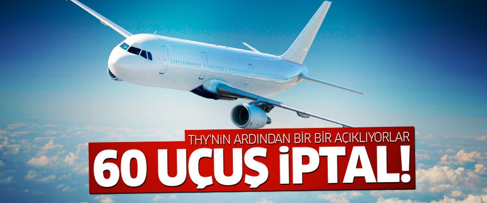THY'nin ardından Pegasus da uçak seferlerini iptal etti