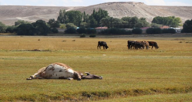 Kayseride İki Mahalle Karantinaya Alındı