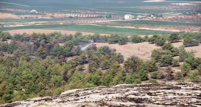 Göbeklitepe Ormanında Korkutan Yangın Kontrol Altına Alındı