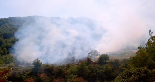 Hatayda Orman Yangını