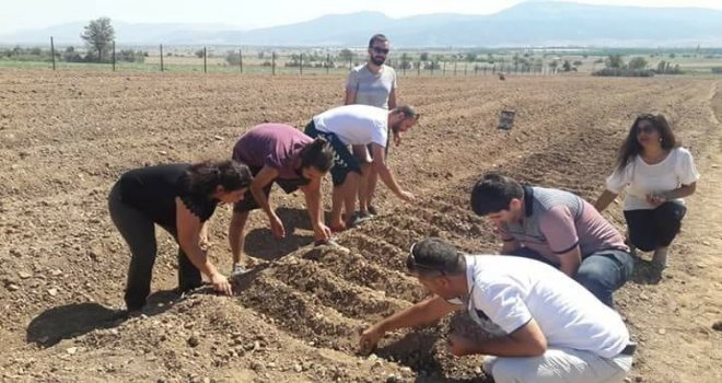 Antalyada ‘Safran Korkutelinde Üretiliyor