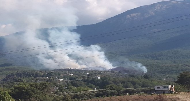 Hatayda Orman Yangını