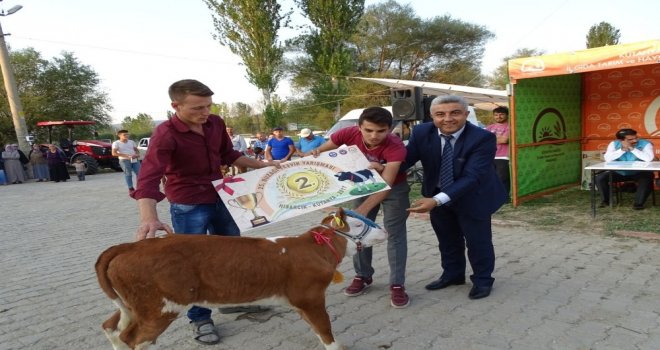 Hisarcık Kültür Ve Sanat Festivali 7 Ağustosta