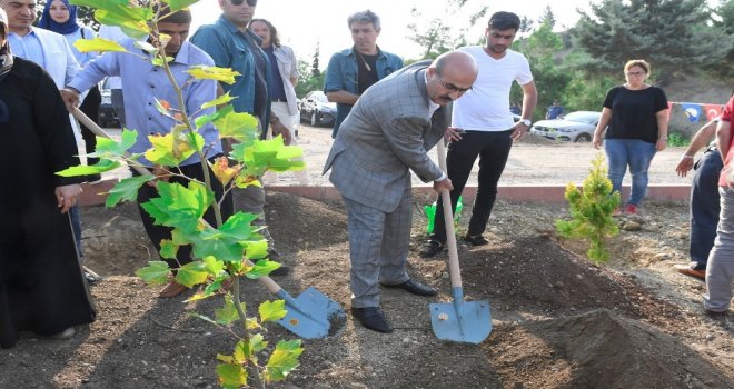 15 Temmuz Demokrasi Şehitleri Hatıra Ormanına Fidan Dikildi