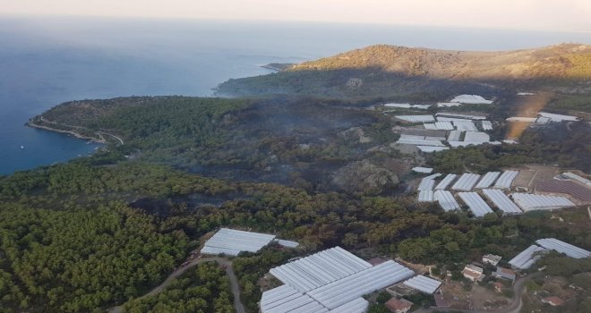 Milletvekili Uslu: “Yanan Bölge Tekrar Ağaçlandırılacak”
