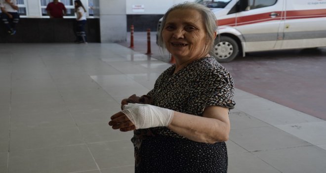 Denizlide Acemi Kasaplar İş Başında