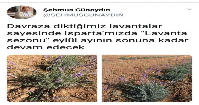 Isparta Valisi Şehmus Günaydın: