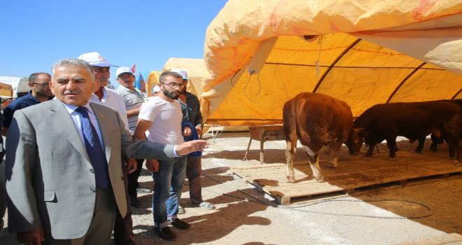 Kurban Pazarında Esnafların Yeri Kura İle Belirlendi