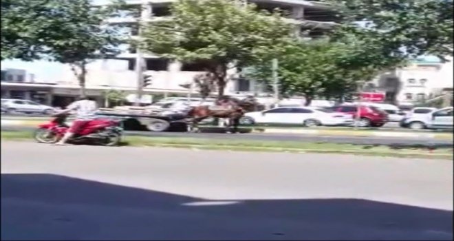 Aşırı Yüklü Arabayı Çekemeyen Atın Hali Görenleri Üzdü