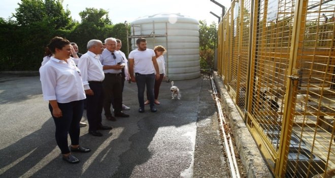Vali Yardımcısı Ünsal Hayvan Bakım Merkezini Denetledi