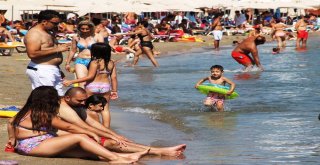 Bodruma 100 Bin Araç, 2 Milyon Tatilci Geldi