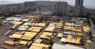 95İnci Yıla En Yeşil Hediye