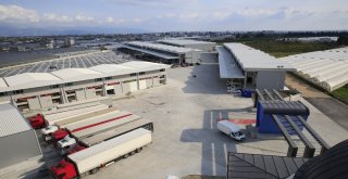 Antalya Toptancı Hali Rekora Doymuyor