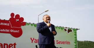 Şarkıcı Elnur Huseynov, Kastamonuda Sokak Hayvanları Yararına Şarkı Söyledi
