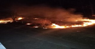 Polislerin Erken Müdahalesi Ormanın Yanmasını Engelledi