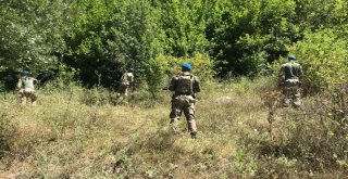 Minik Evrim, Mağarada Da Bulunamadı