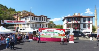 2. Boyabat Domatesi Festivali