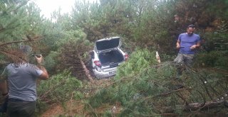 Yoldan Çıkan Otomobil Ağaçların Arasına Daldı