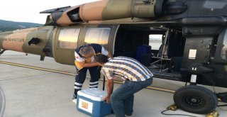 Organ Bekleyen Hastanın Yardımına Tsk Yetişti