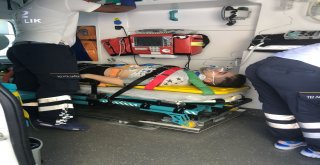 3. Kattan Düştü, Asma Hayatını Kurtardı