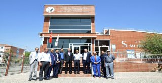 Filistin Heyeti Tepebaşını Çok Sevdi