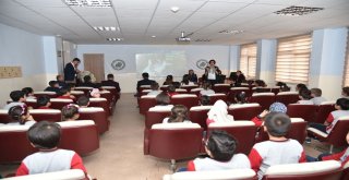 Altındağda Öğrencilerin Hayvan Sevgisi