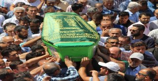 Otomobilin Çarptığı Asfalt İşçisi 27 Gün Sonra Hayatını Kaybetti