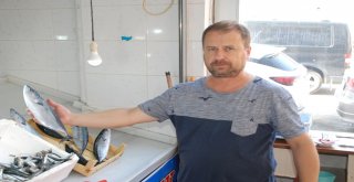 Balık Tezgahları Şenlendi