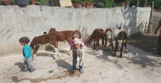 Genç Çiftçi Projesi Yüz Güldürüyor