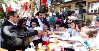 Haylaz Şempanzeyi Zapt Etmek Güç Oldu