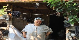 Evi Yanan Yaşlı Kadın Kömürlükte Yaşam Mücadelesi Veriyor