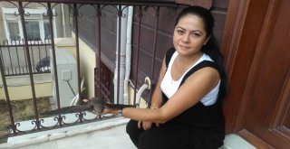 Tekirdağda Ebabil Kuşu Bulundu