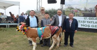 Çambaşı Yaylası Festivali 2Nci Gününde