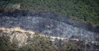 Vali Küçük: Yangın Sigara İzmariti Veya Cam Kırığından Çıkmış Olabilir