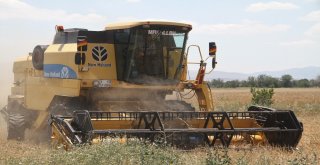 Elazığda 1 Milyon Dekar Alanda Hububat Hasadı