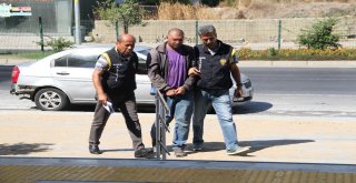 Alanyada Plaj Faresi Yakalandı