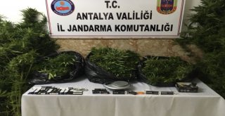 Antalyada 26,5 Kilo Esrar Ele Geçirildi