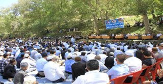 Bediüzzaman Said Nursi İçin Mevlit Verildi