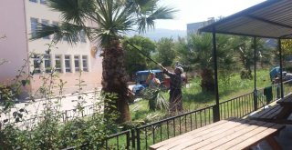 Yunusemrede Park Ve Bahçelere Kış Bakımı