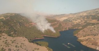 Kahramanmaraşta Orman Yangını