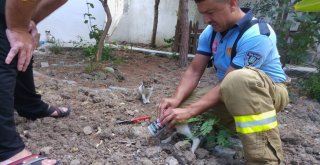 Kafası Konserve Tenekesine Sıkışan Kediyi İtfaiye Kurtardı