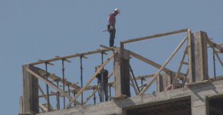 13. Katta Canını Hiçe Saydı