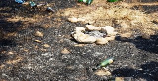 Madde Bağımlıları Tralleis Antik Kentini Yakıyordu