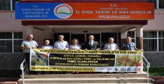 Kuru Üzümde İhracatı Olumlu Etkileyecek Seferberlik