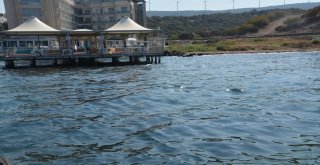 Yakıt Sızıntısının Rüzgarla İlerlememesi İçin Mücadele Veriliyor