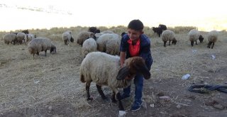 En Büyük Hayali Şaşırttı